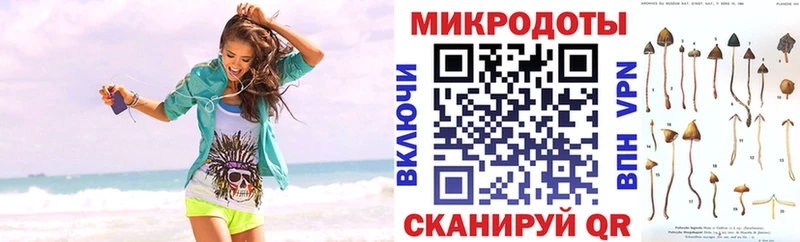 цена наркотик  Себеж  Галлюциногенные грибы Psilocybe 